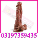 Cock Of Old Men In Pakistan