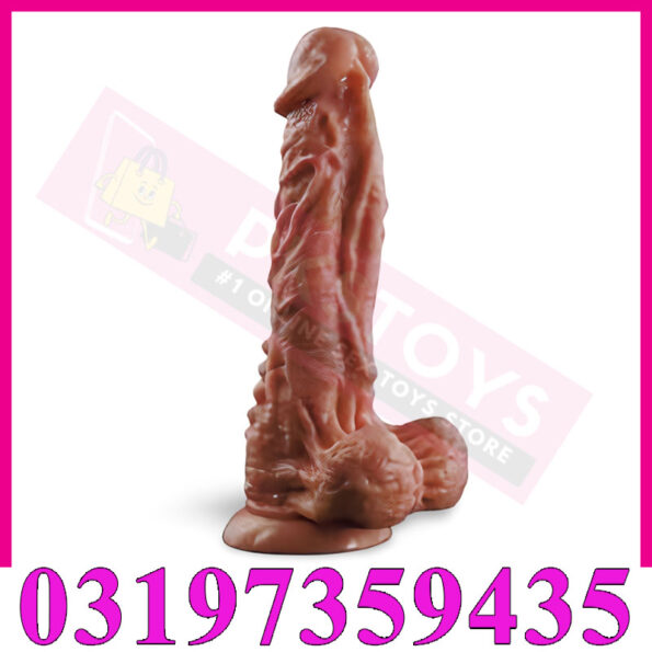 Cock Of Old Men In Pakistan